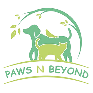 Paws N Beyond